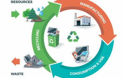 A Economia Circular na cadeia de abastecimento