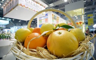 Os drivers da mudança na supply chain dos frescos
