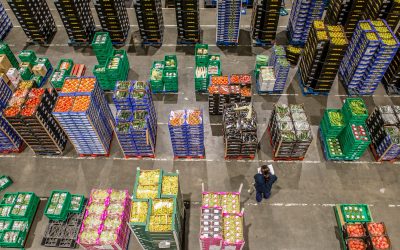 Greenyard renova certificações da Global Food Safety Initiative