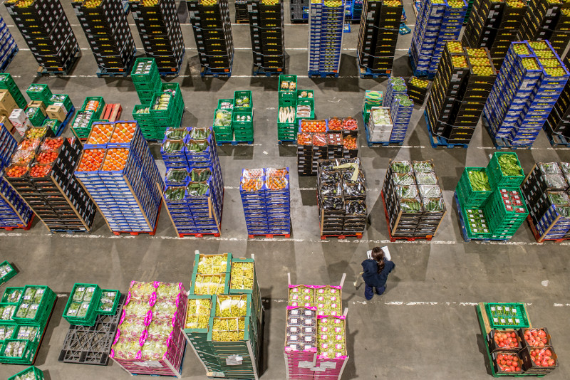 Greenyard renova certificações da Global Food Safety Initiative