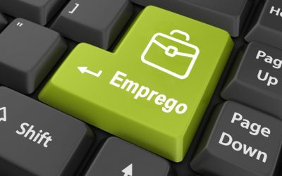 Estudo da MSearch evidencia procura de profissionais nas áreas da indústria e logística