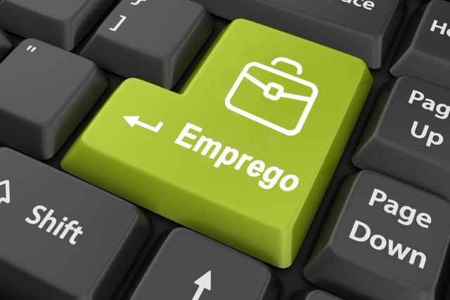 Estudo da MSearch evidencia procura de profissionais nas áreas da indústria e logística