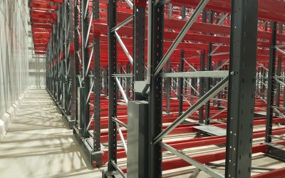 Congelagos investe 16 milhões de euros em nova fábrica de pescado