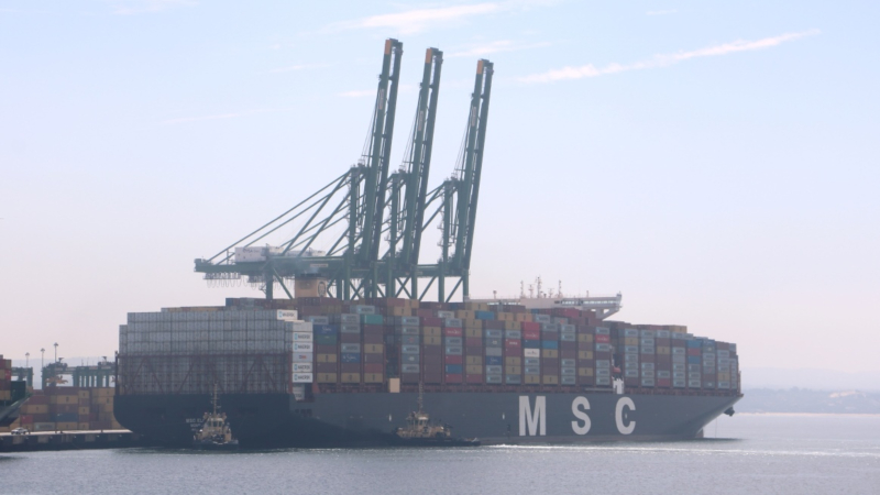 MSC Eloane escala no Porto de Sines