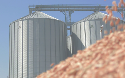 Importadores e armazenistas de cereais procuram fornecedores alternativos
