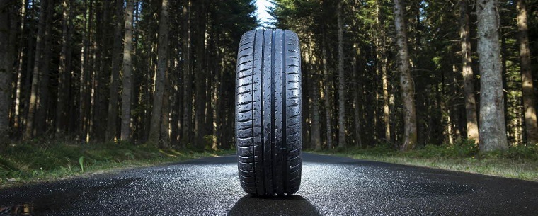 Michelin vai produzir pneus feitos de madeira