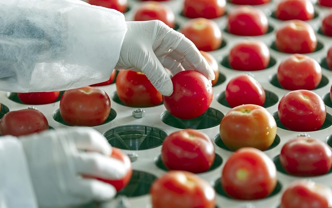 BE olha para os contratos de abastecimento de produtos agroalimentares