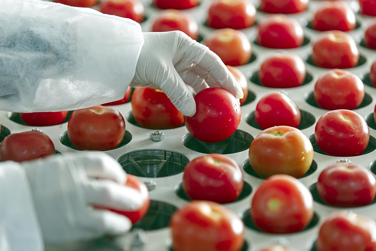 BE olha para os contratos de abastecimento de produtos agroalimentares