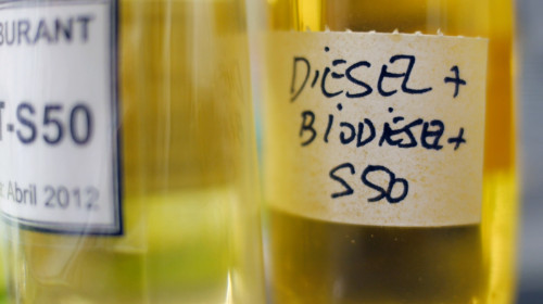 Inediteneptune investe 24 milhões de euros em biorefinaria na ZILS