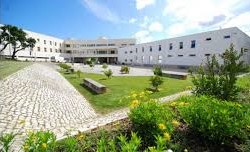 Politécnico de Setúbal assinala 20 anos da licenciatura em logística