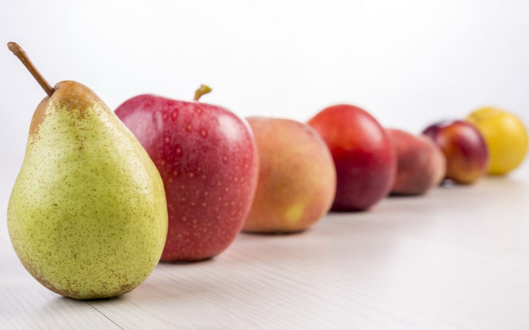 Negócio familiar que dá frutos