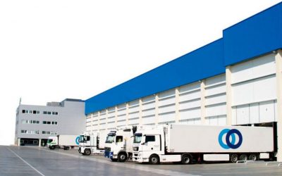 STEF aumenta volume de negócios em 8,7% no primeiro semestre