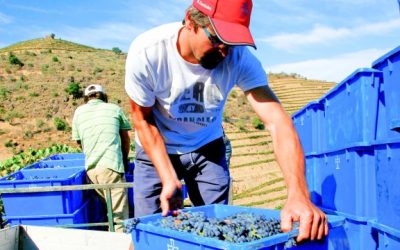 “Rumo estratégico para o sector dos vinhos do porto e douro”