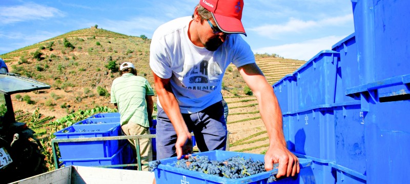 “Rumo estratégico para o sector dos vinhos do porto e douro”