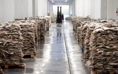 Riberalves investe 4 milhões na fábrica da Moita