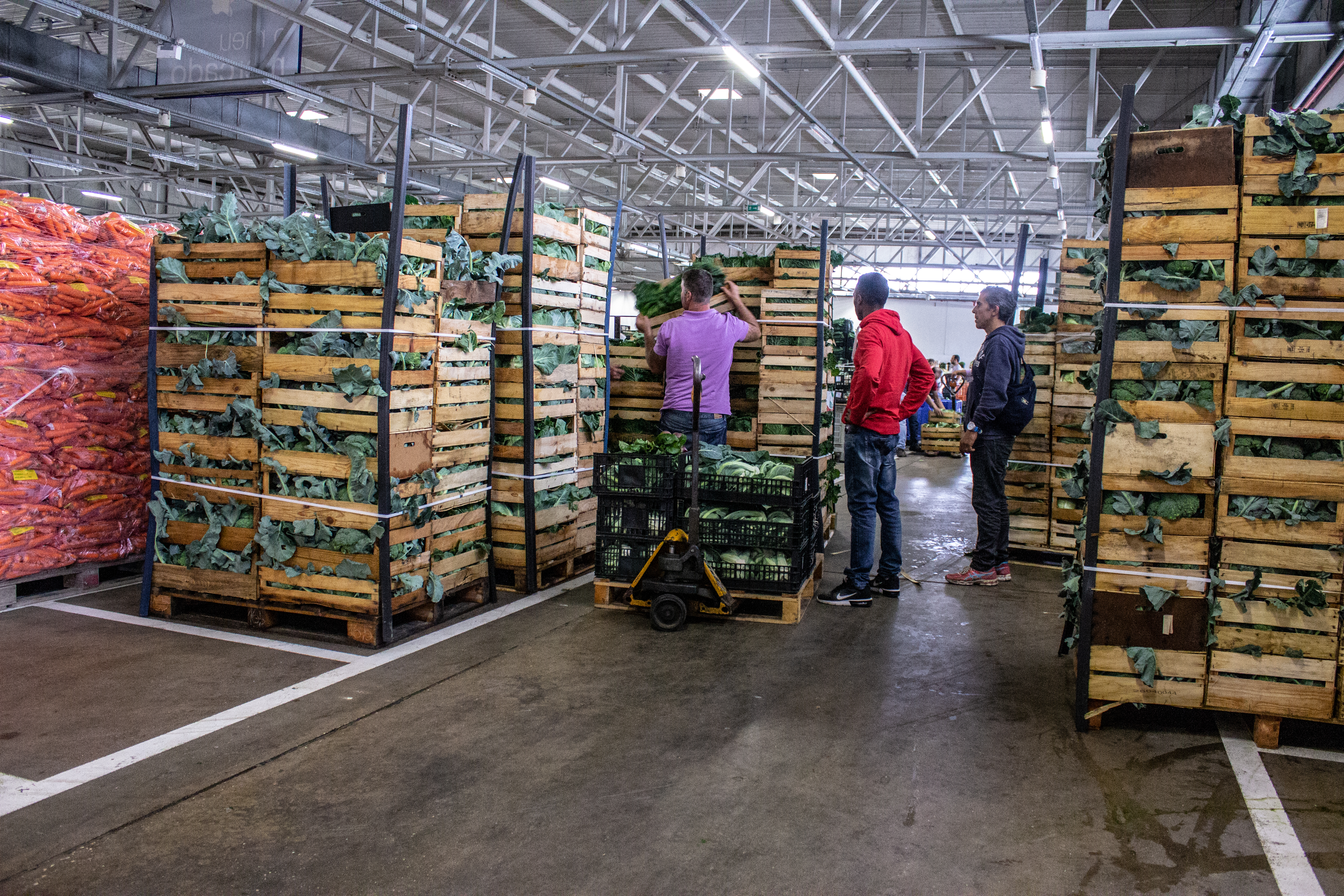 “Go Market” apoia projectos no sector agro-alimentar e logístico