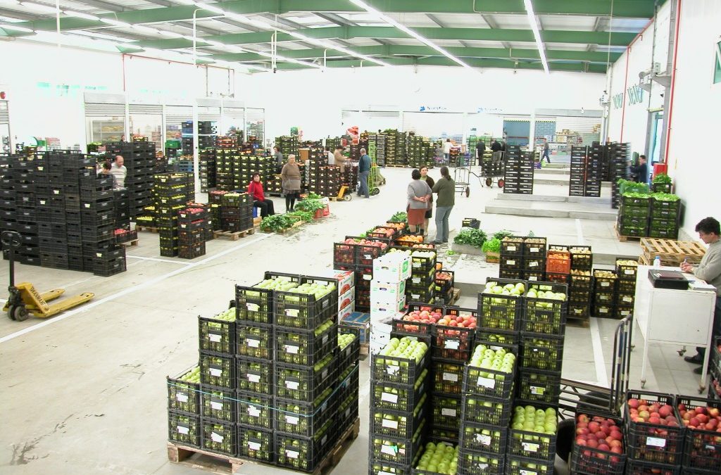 SIMAB e Cabo Verde cooperam no agro-alimentar
