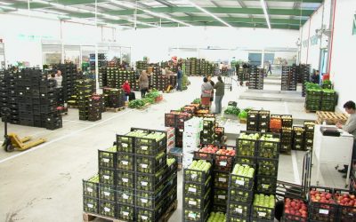 SIMAB e Cabo Verde cooperam no agro-alimentar