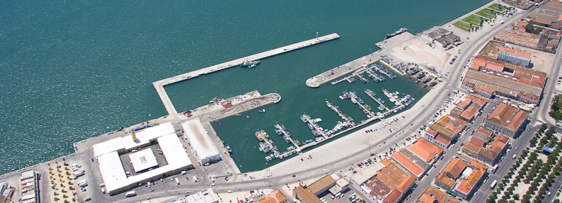 Ministra do Mar espera mais impactos positivos do que negativos na acessibilidade do Porto de Setúbal