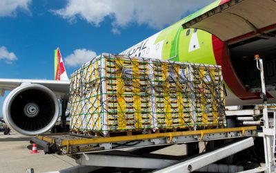Constrangimentos nos aeroportos limitam operadores de carga