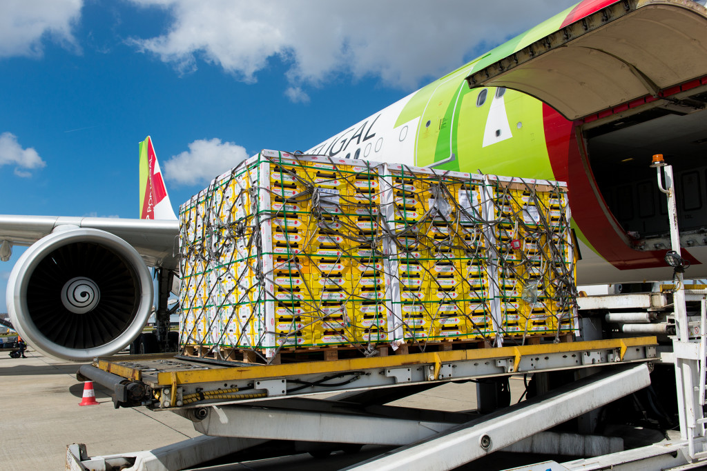 Carga aérea cresce 2,9% em setembro e mantém trajetória de recuperação