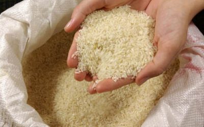 UE impõe novas taxas aduaneiras para a importação de arroz índica