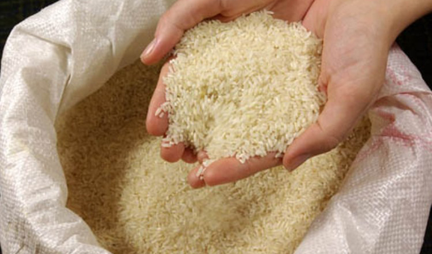 UE impõe novas taxas aduaneiras para a importação de arroz índica