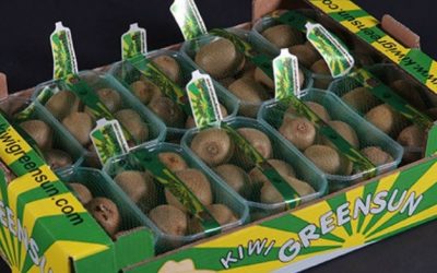 Mercadona estabelece parceria com a Kiwi Greensun