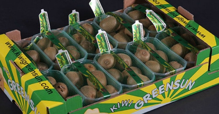 Mercadona estabelece parceria com a Kiwi Greensun