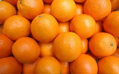 Importação de laranjas da África do Sul posta em causa devido a toxinas