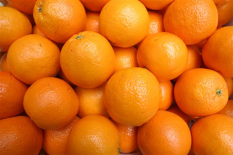 Importação de laranjas da África do Sul posta em causa devido a toxinas
