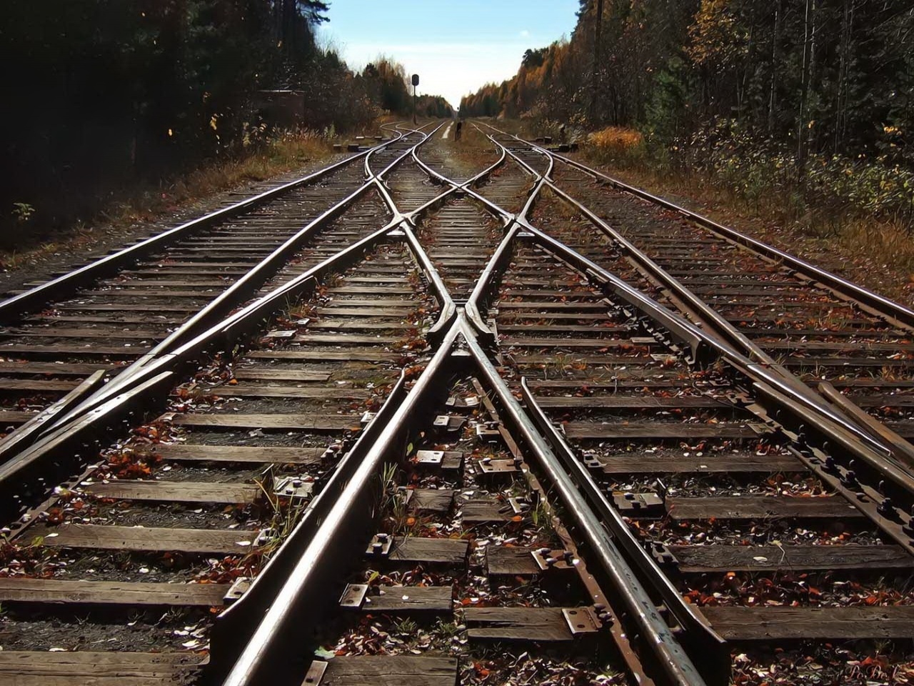 Portugal é o segundo país da UE em que transporte por ferrovia mais cresce
