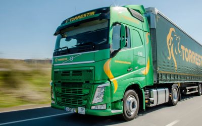 Torrestir estima investir 45 milhões de euros no futuro