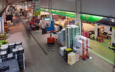 Transnautica no Mercado Abastecedor de Coimbra