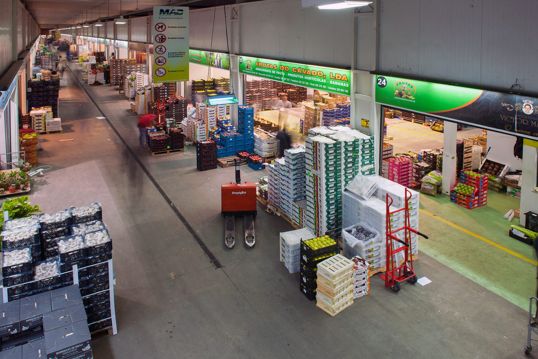 Transnautica no Mercado Abastecedor de Coimbra