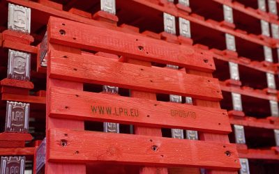 Lactogal e LPR celebram parceria de exclusividade