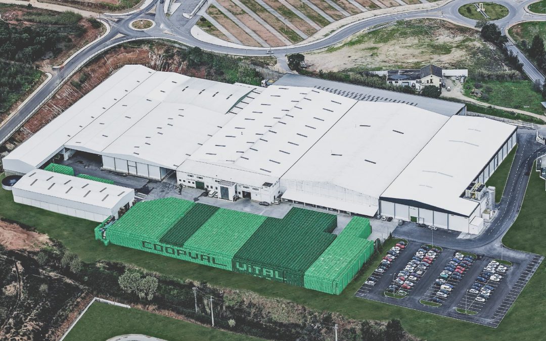Modernização da central fruteira leva COOPVAL a investir 6 milhões de euros