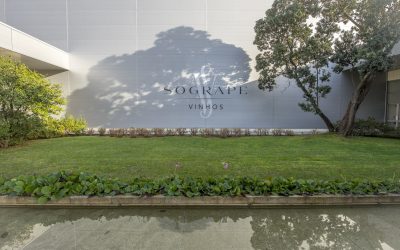 Sogrape enfrenta Brexit e torna-se maioritária na Liberty Wines