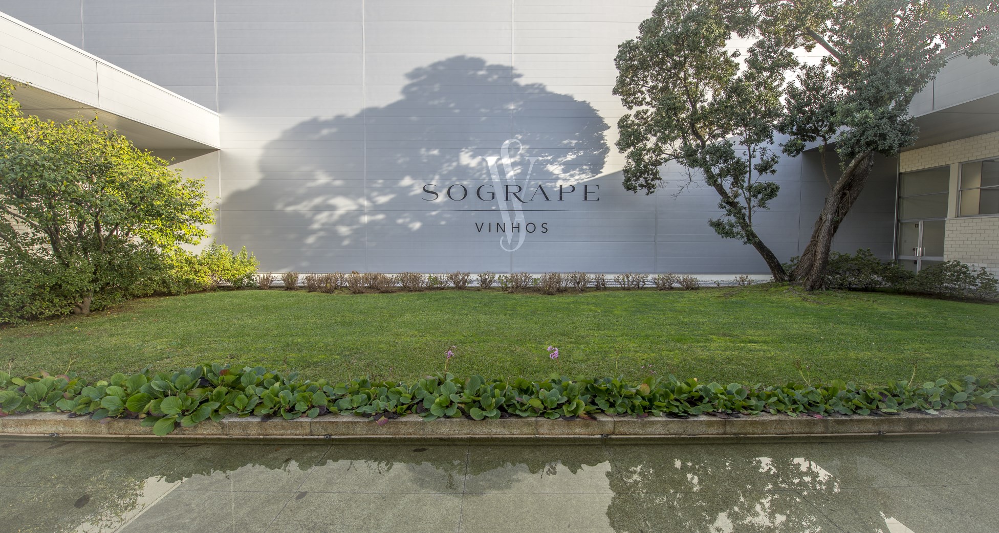 Sogrape enfrenta Brexit e torna-se maioritária na Liberty Wines