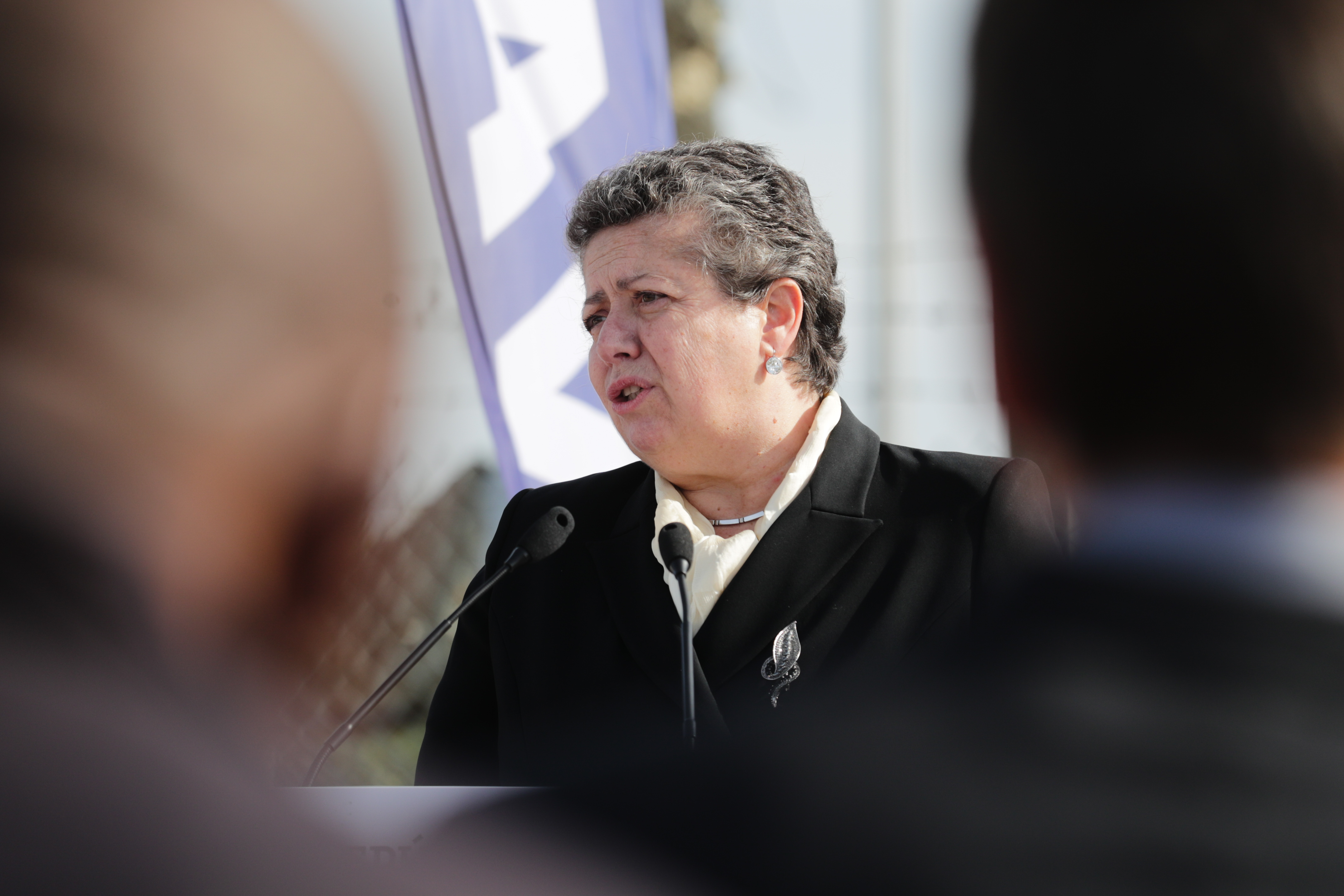 Governo aprova segurança privada armada a bordo de navios