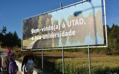 UTAD disponibiliza novo curso em Engenharia e Gestão Industrial