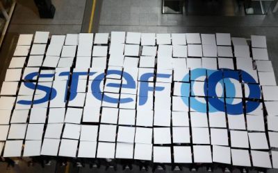 STEF cresce 7% crescimento no primeiro semestre de 2019