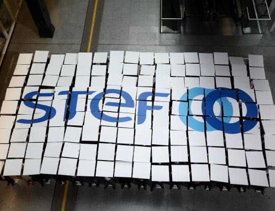 STEF cresce 7% crescimento no primeiro semestre de 2019
