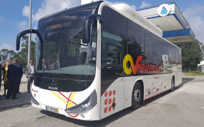 Auto Viação Feirense faz compra estratégica para renovação de frota