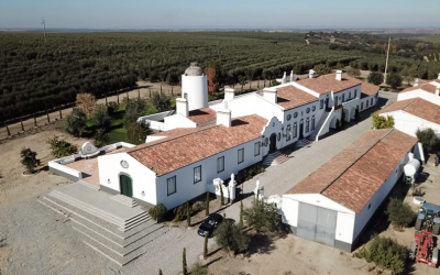 Herdade Maria da Guarda começa a exportar azeite para os EUA