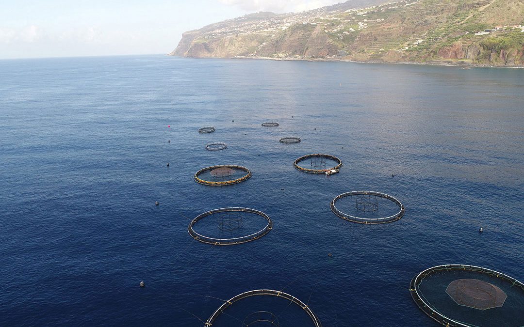 Jerónimo Martins investe na sustentabilidade através da aquacultura