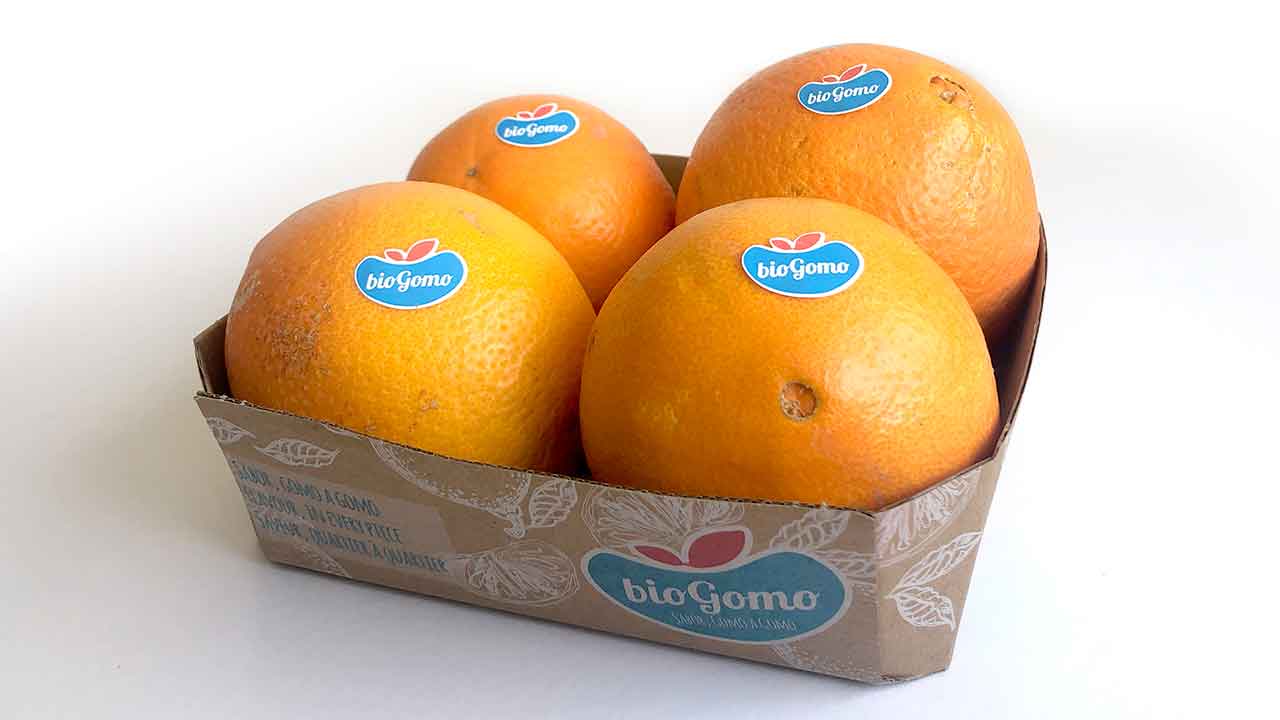 Frusoal de olhos postos no mercado escandinavo