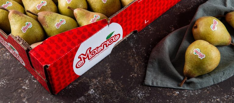 ‘Maria’ impulsiona em 30% produção nacional do Grupo Luís Vicente