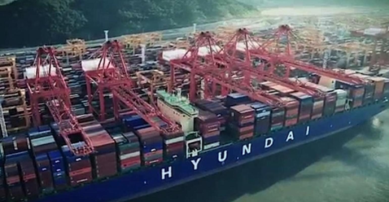THE Alliance expande rede de serviços para 2020