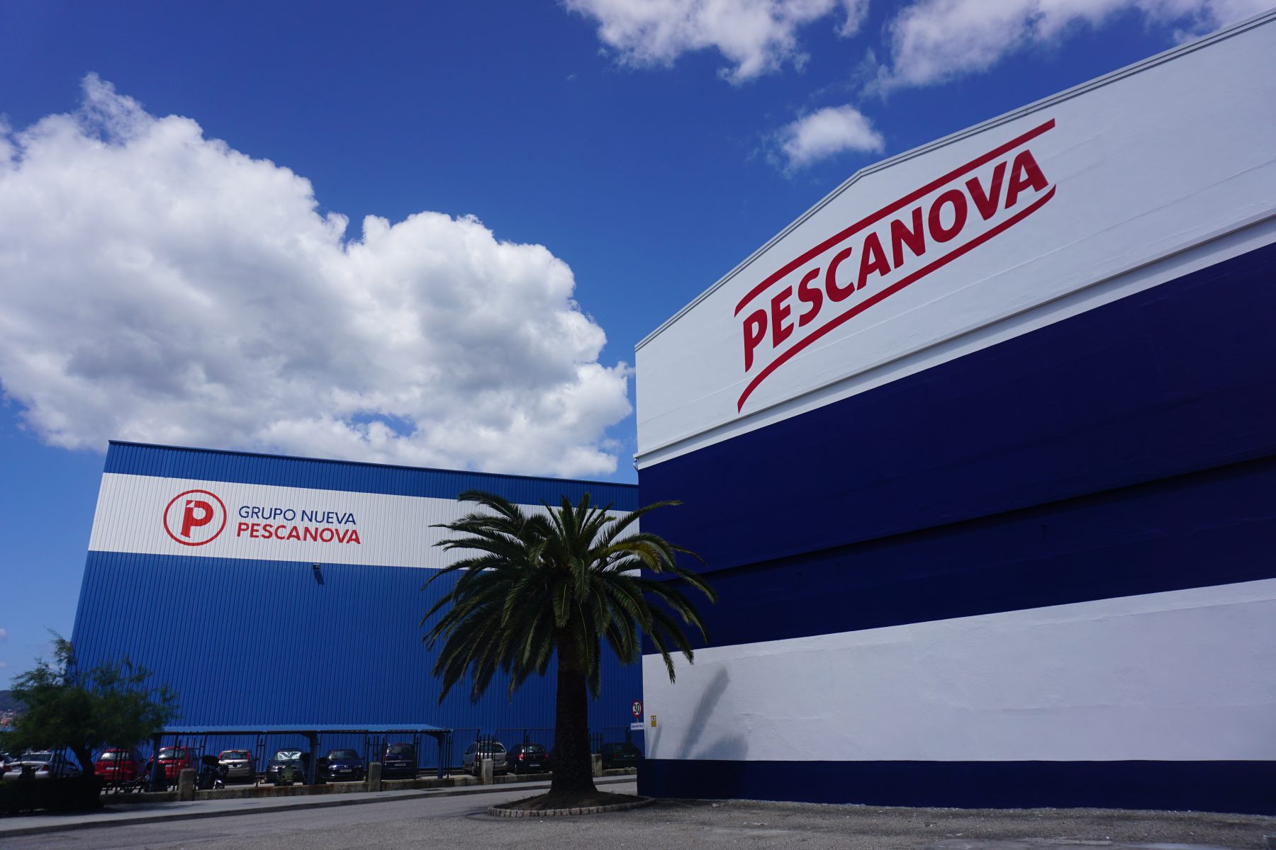 Pescanova contribui para uma cadeia de fornecimento sustentável